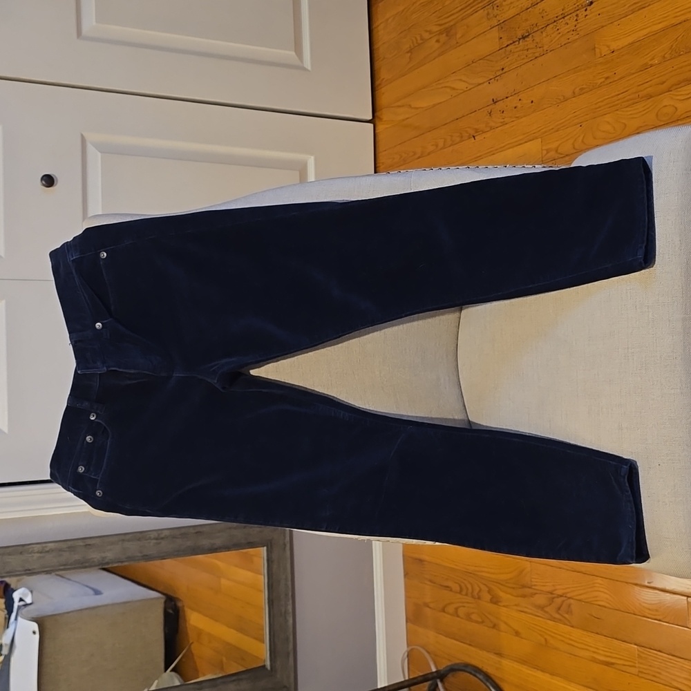JCrew Velvet like cropped pant. Size 27 Deep Navy